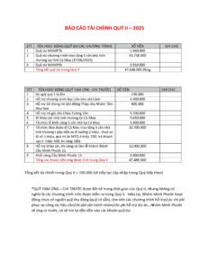 BÁO CÁO TÀI CHÍNH QUÝ II – 2025